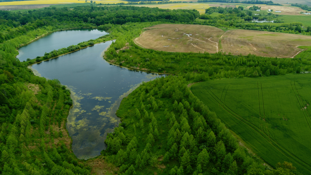 KNOX CO. LAND AUCTION Peabody Land